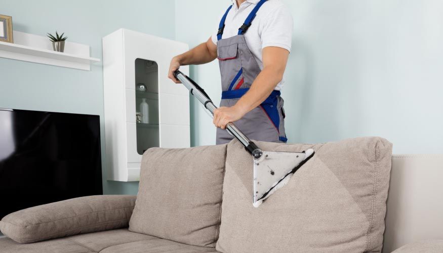 Carpet – Sofa Wash Machines